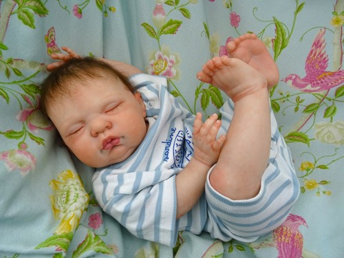 Reborn baby boy - sean, /